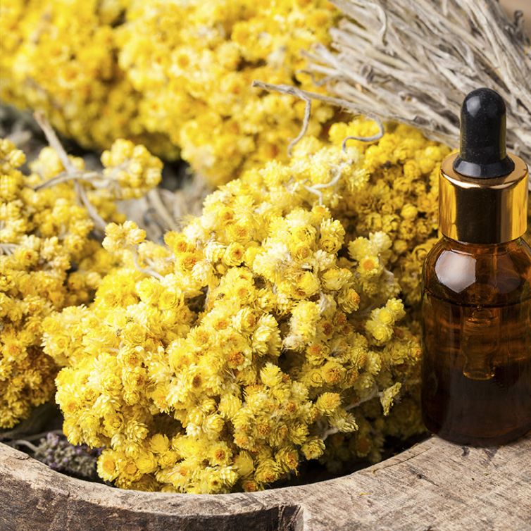 cadeau-olfactif-immortelle