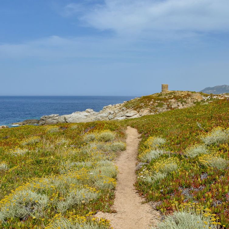 cadeau-olfactif-mariage-corse